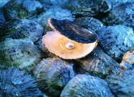 Ostras