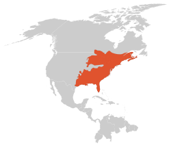 250px-Easternnewtrangemap.svg