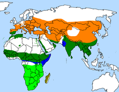 Upupa distribution
