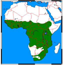 250px-Atilax paludinosus range map