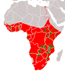 220px-Hippo distribution
