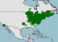 Habitat-distribucion-plethodon-cinereus