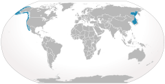 240px-Cypron-Range Eschrichtius robustus.svg