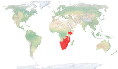 Mapa CerSim