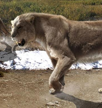 León de las Cavernas | Wiki Reino Animalia | Fandom