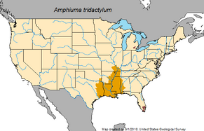 GetStaticMap