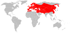 250px-European Otter distribution