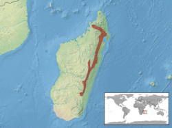 250px-Calumma parsonii distribution