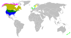 240px-Branta canadensis map