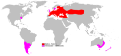 240px-Lepus europaeus range Map