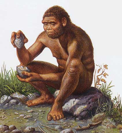 Resultado de imagen de homo habilis