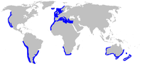 200px-Galeorhinus galeus distmap