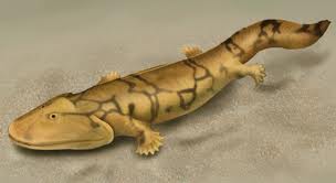Pez sarcopterios