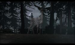 The Deer