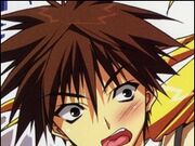 Get Wallpaper Category Akikan Characters Remix Favorite Show And Game Wiki Desktop Wallpaper
