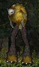 Bulkskin Chaps
