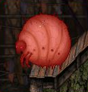 Enraged Blowgrub