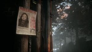 Celeste missing poster