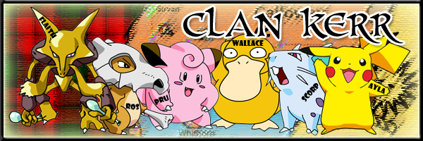 Kerrbanner