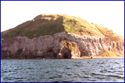 Ailsa Craig 1
