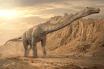 Titanosaurus | Reptiles Wiki | Fandom