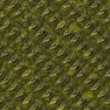 Reptiskin