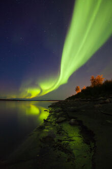 Borealis