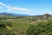 Napa Valley