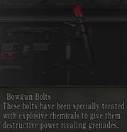 Bowgun bolts