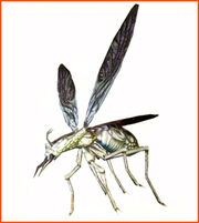 Ant ene