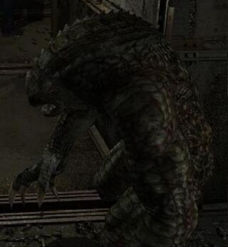 Hunter