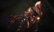 RE.NET Extra File Ooze Rachael (T-Abyss Virus)