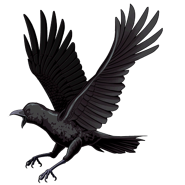 BIOHAZARD Clan Master - BOW art - Crow