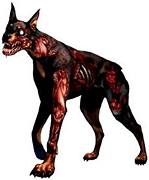 Cerberus