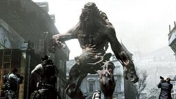 Image-7