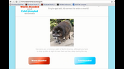 Fillmoreelementaryschool.com - front page