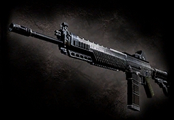 SIG 556 (RE5) POR TMP DE HUNK (PIDE UM MOD) Latest?cb=20100522071613