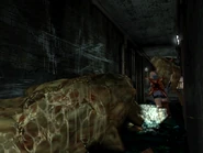 Sliding Worm in front