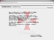 Collapse of Subsidiary Umbrella Japan