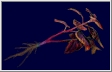 Re3red (1)