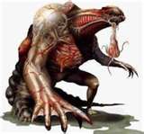 Zak Xenas Beast Evolved