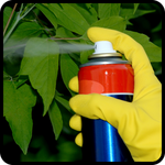 Insecticides