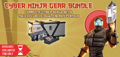 Cyber Ninja