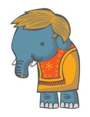 Elephant kid