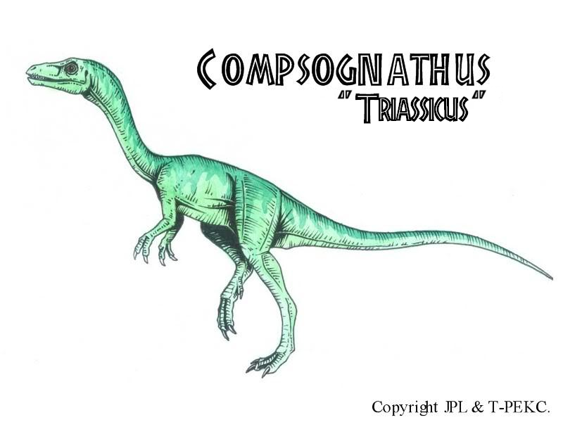 compsognathus