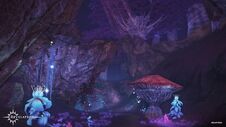 Hyphaeans1