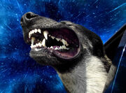 20130529-12523135-warpdogs1