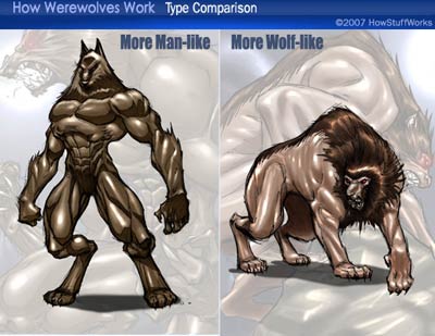 Werewolf-comparison