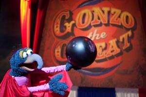 The Great Gonzo