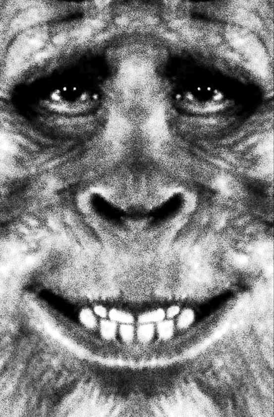 10-1-bigfoot-harry fullface